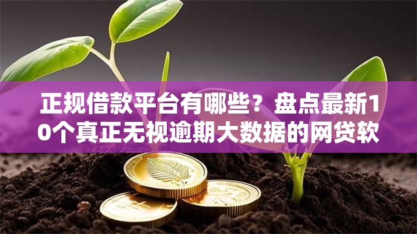 正规借款平台有哪些？盘点最新10个真正无视逾期大数据的网贷软件