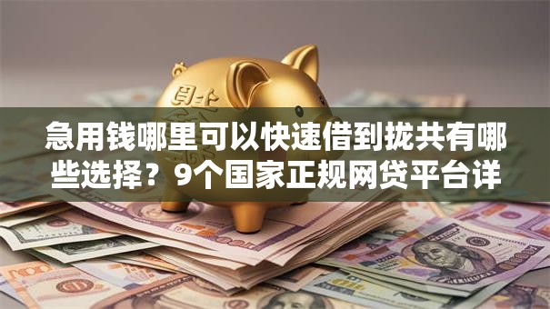 急用钱哪里可以快速借到拢共有哪些选择？9个国家正规网贷平台详解