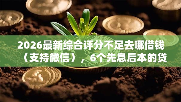 2026最新综合评分不足去哪借钱（支持微信），6个先息后本的贷款平台无私分享