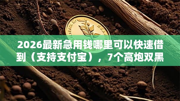 2026最新急用钱哪里可以快速借到（支持支付宝），7个高炮双黑逾期必下款平台无私分享