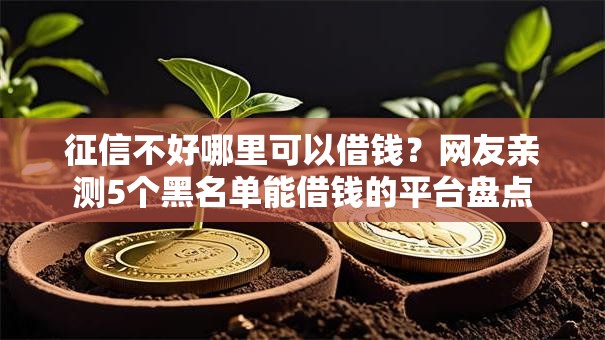 征信不好哪里可以借钱?网友亲测5个黑名单能借钱的平台盘点 征信不好哪里可以借钱?网友亲测5个黑名单能借钱的平台盘点