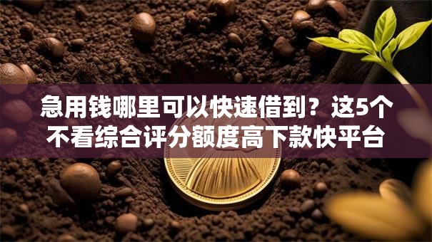 急用钱哪里可以快速借到？这5个不看综合评分额度高下款快平台值得一试