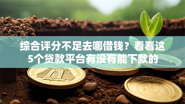 综合评分不足去哪借钱?看看这5个贷款平台有没有能下款的 综合评分不足去哪借钱?看看这5个贷款平台有没有能下款的