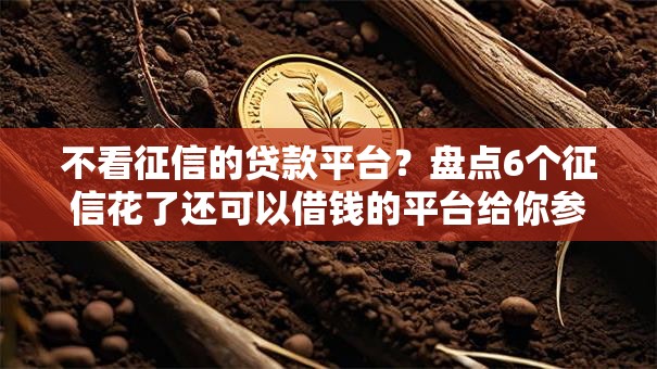 不看征信的贷款平台?盘点6个征信花了还可以借钱的平台给你参考 不看征信的贷款平台?盘点6个征信花了还可以借钱的平台给你参考
