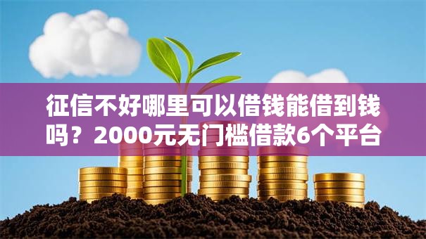 征信不好哪里可以借钱能借到钱吗？2000元无门槛借款6个平台推荐