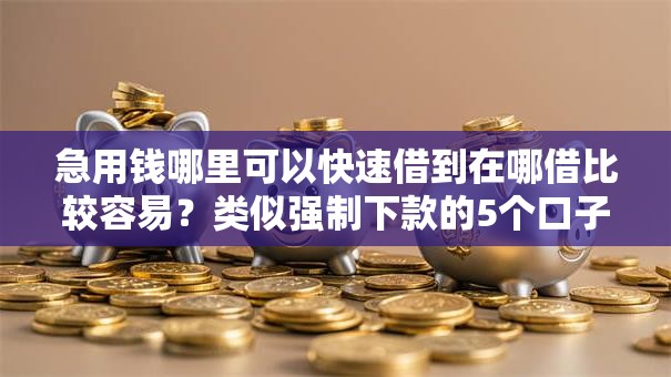 急用钱哪里可以快速借到在哪借比较容易?类似强制下款的5个口子参考 急用钱哪里可以快速借到在哪借比较容易?类似强制下款的5个口子参考