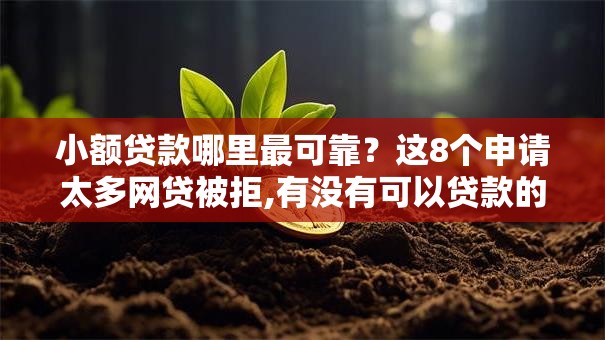 小额贷款哪里最可靠?这8个申请太多网贷被拒,有没有可以贷款的平台值得一试 小额贷款哪里最可靠?这8个申请太多网贷被拒,有没有可以贷款的平台值得一试