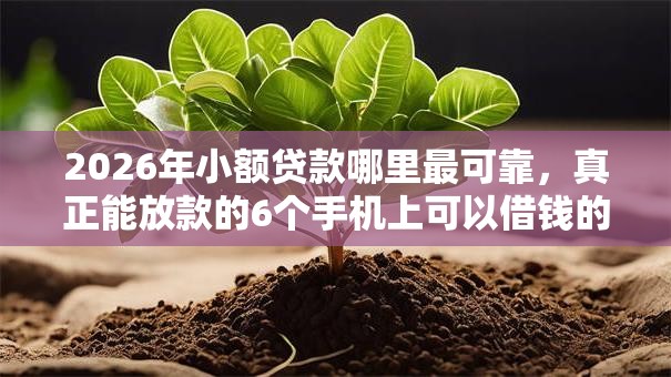 2026年小额贷款哪里最可靠,真正能放款的6个手机上可以借钱的口子推荐 2026年小额贷款哪里最可靠,真正能放款的6个手机上可以借钱的口子推荐
