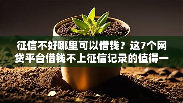 征信不好哪里可以借钱?这7个网贷平台借钱不上征信记录的值得一试 征信不好哪里可以借钱?这7个网贷平台借钱不上征信记录的值得一试