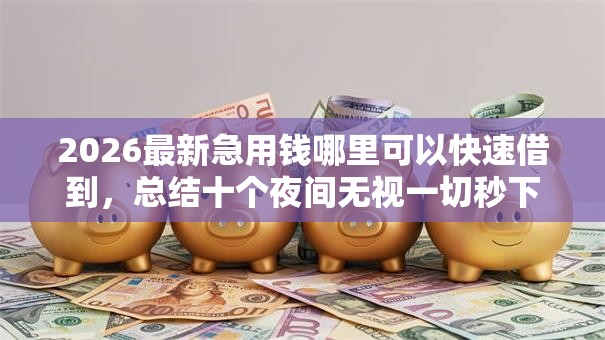 2026最新急用钱哪里可以快速借到，总结十个夜间无视一切秒下款的高炮口子！