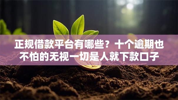 正规借款平台有哪些?十个逾期也不怕的无视一切是人就下款口子 正规借款平台有哪些?十个逾期也不怕的无视一切是人就下款口子