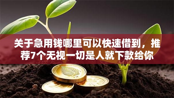 关于急用钱哪里可以快速借到，推荐7个无视一切是人就下款给你