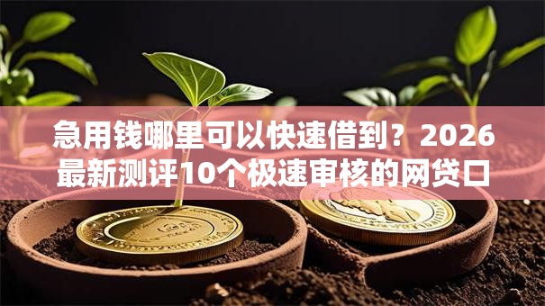 急用钱哪里可以快速借到?2026最新测评10个极速审核的网贷口子 急用钱哪里可以快速借到?2026最新测评10个极速审核的网贷口子