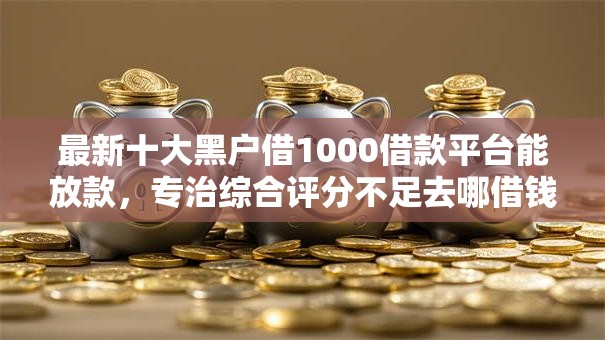 最新十大黑户借1000借款平台能放款，专治综合评分不足去哪借钱