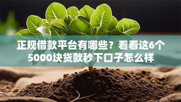 正规借款平台有哪些？看看这6个5000块贷款秒下口子怎么样