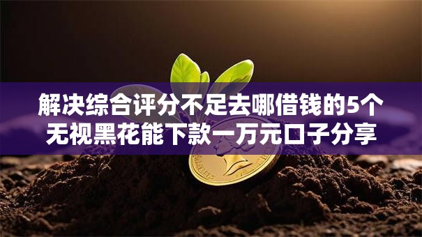 解决综合评分不足去哪借钱的5个无视黑花能下款一万元口子分享