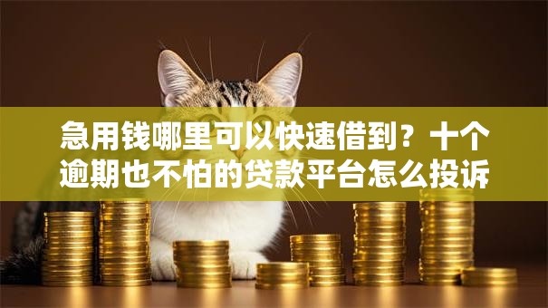 急用钱哪里可以快速借到?十个逾期也不怕的贷款平台怎么投诉 急用钱哪里可以快速借到?十个逾期也不怕的贷款平台怎么投诉