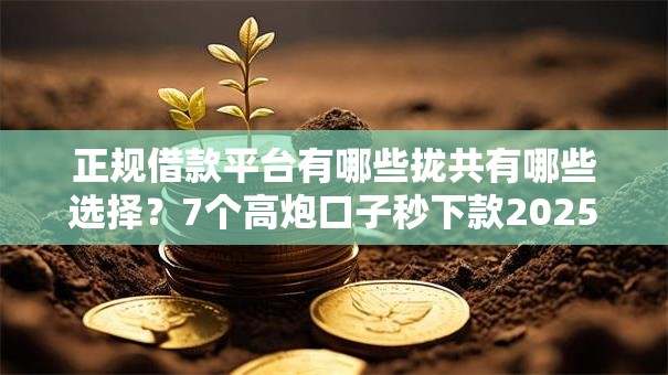 正规借款平台有哪些拢共有哪些选择？7个高炮口子秒下款2025详解