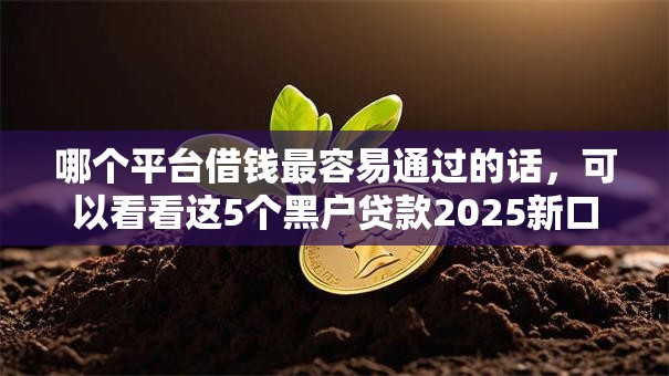 哪个平台借钱最容易通过的话，可以看看这5个黑户贷款2025新口子