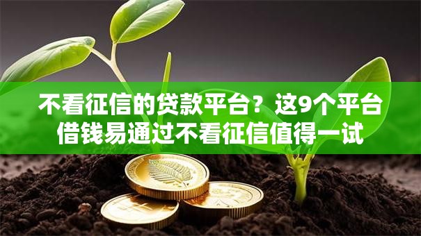 不看征信的贷款平台？这9个平台借钱易通过不看征信值得一试