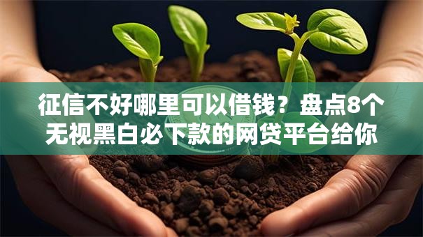 征信不好哪里可以借钱?盘点8个无视黑白必下款的网贷平台给你参考 征信不好哪里可以借钱?盘点8个无视黑白必下款的网贷平台给你参考