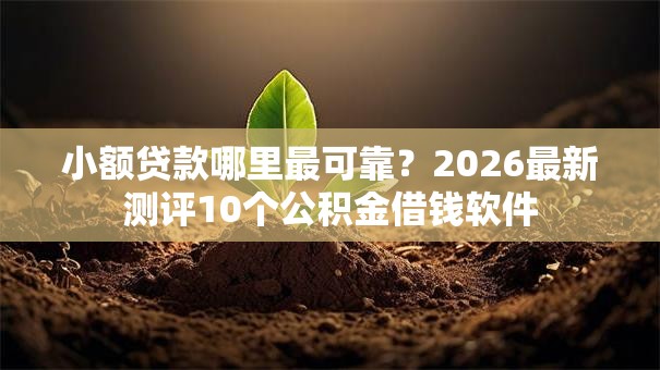 小额贷款哪里最可靠？2026最新测评10个公积金借钱软件