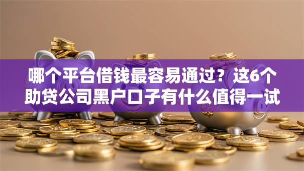 哪个平台借钱最容易通过?这6个助贷公司黑户口子有什么值得一试 哪个平台借钱最容易通过?这6个助贷公司黑户口子有什么值得一试
