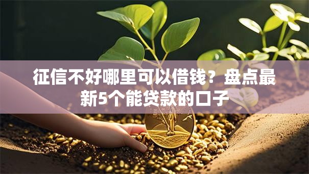 征信不好哪里可以借钱？盘点最新5个能贷款的口子