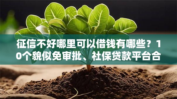 征信不好哪里可以借钱有哪些？10个貌似免审批、社保贷款平台合集