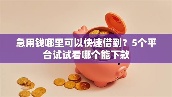 急用钱哪里可以快速借到?5个平台试试看哪个能下款 急用钱哪里可以快速借到?5个平台试试看哪个能下款