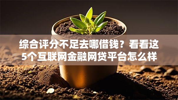 综合评分不足去哪借钱?看看这5个互联网金融网贷平台怎么样 综合评分不足去哪借钱?看看这5个互联网金融网贷平台怎么样