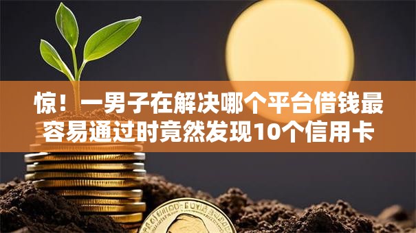 惊!一男子在解决哪个平台借钱最容易通过时竟然发现10个信用卡贷款平台,事后分享了出来 惊!一男子在解决哪个平台借钱最容易通过时竟然发现10个信用卡贷款平台,事后分享了出来