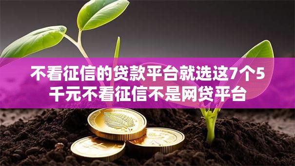 不看征信的贷款平台就选这7个5千元不看征信不是网贷平台 不看征信的贷款平台就选这7个5千元不看征信不是网贷平台