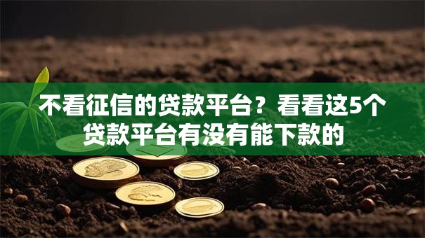 不看征信的贷款平台?看看这5个贷款平台有没有能下款的 不看征信的贷款平台?看看这5个贷款平台有没有能下款的