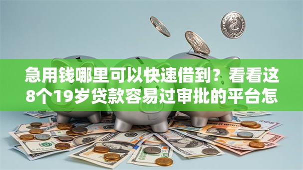 急用钱哪里可以快速借到？看看这8个19岁贷款容易过审批的平台怎么样