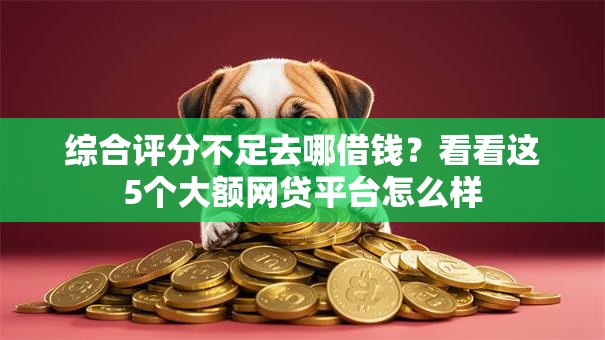 综合评分不足去哪借钱？看看这5个大额网贷平台怎么样