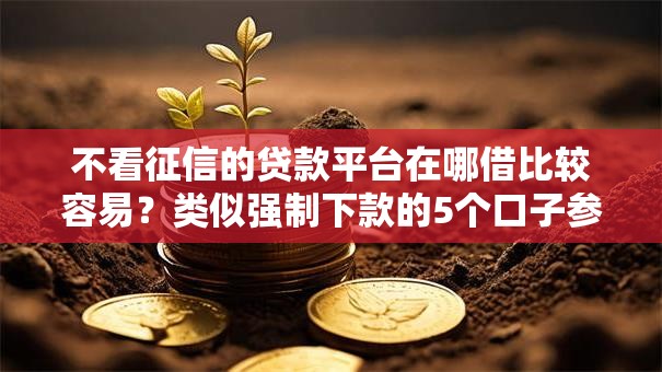 不看征信的贷款平台在哪借比较容易？类似强制下款的5个口子参考