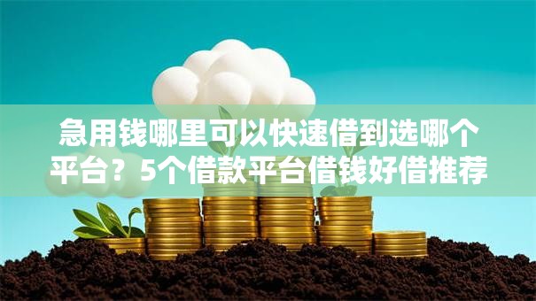 急用钱哪里可以快速借到选哪个平台?5个借款平台借钱好借推荐 急用钱哪里可以快速借到选哪个平台?5个借款平台借钱好借推荐