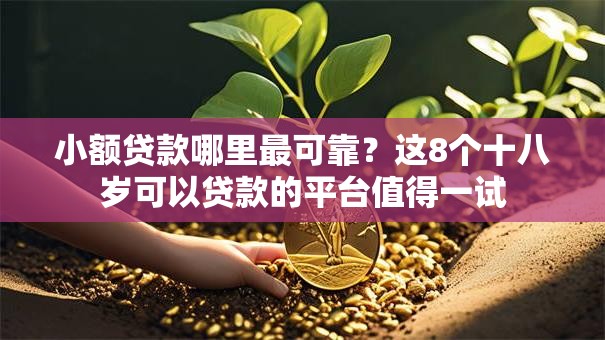 小额贷款哪里最可靠？这8个十八岁可以贷款的平台值得一试