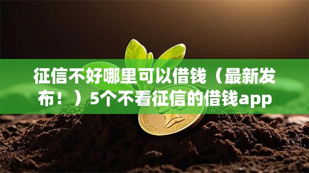 征信不好哪里可以借钱（最新发布！）5个不看征信的借钱app