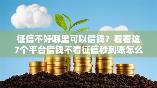 征信不好哪里可以借钱？看看这7个平台借钱不看征信秒到账怎么样