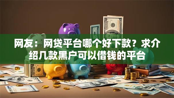 网友：网贷平台哪个好下款？求介绍几款黑户可以借钱的平台