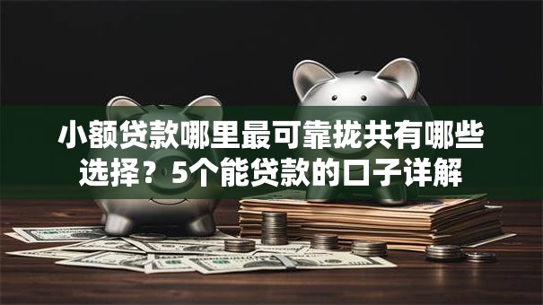 小额贷款哪里最可靠拢共有哪些选择?5个能贷款的口子详解 小额贷款哪里最可靠拢共有哪些选择?5个能贷款的口子详解