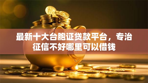 最新十大台胞证贷款平台，专治征信不好哪里可以借钱