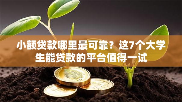 小额贷款哪里最可靠？这7个大学生能贷款的平台值得一试