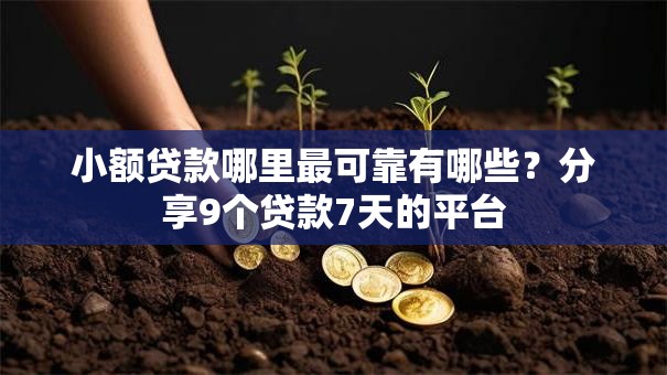 小额贷款哪里最可靠有哪些？分享9个贷款7天的平台