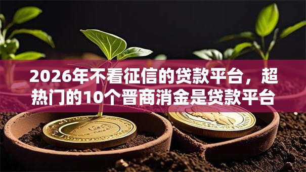 2026年不看征信的贷款平台，超热门的10个晋商消金是贷款平台推荐
