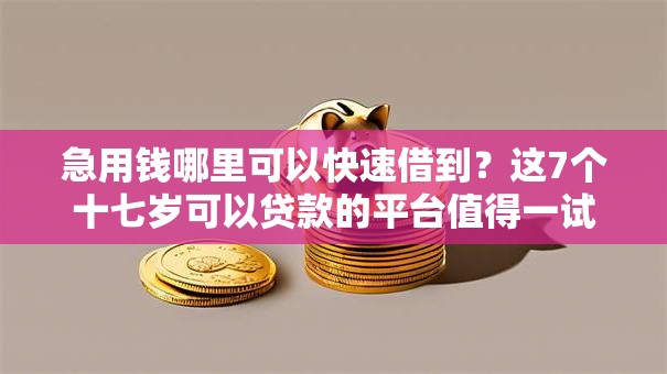 急用钱哪里可以快速借到？这7个十七岁可以贷款的平台值得一试