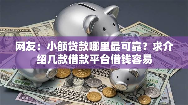 网友：小额贷款哪里最可靠？求介绍几款借款平台借钱容易