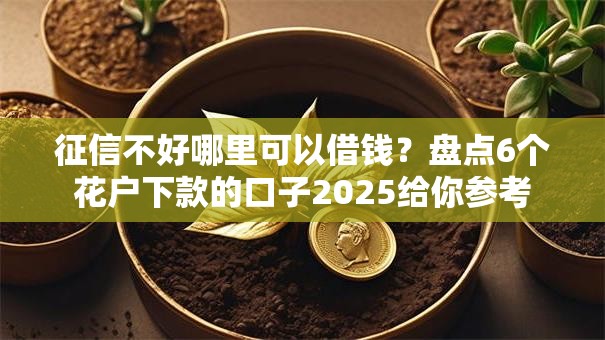 征信不好哪里可以借钱？盘点6个花户下款的口子2025给你参考